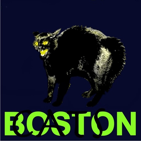 Bostoncats_medium