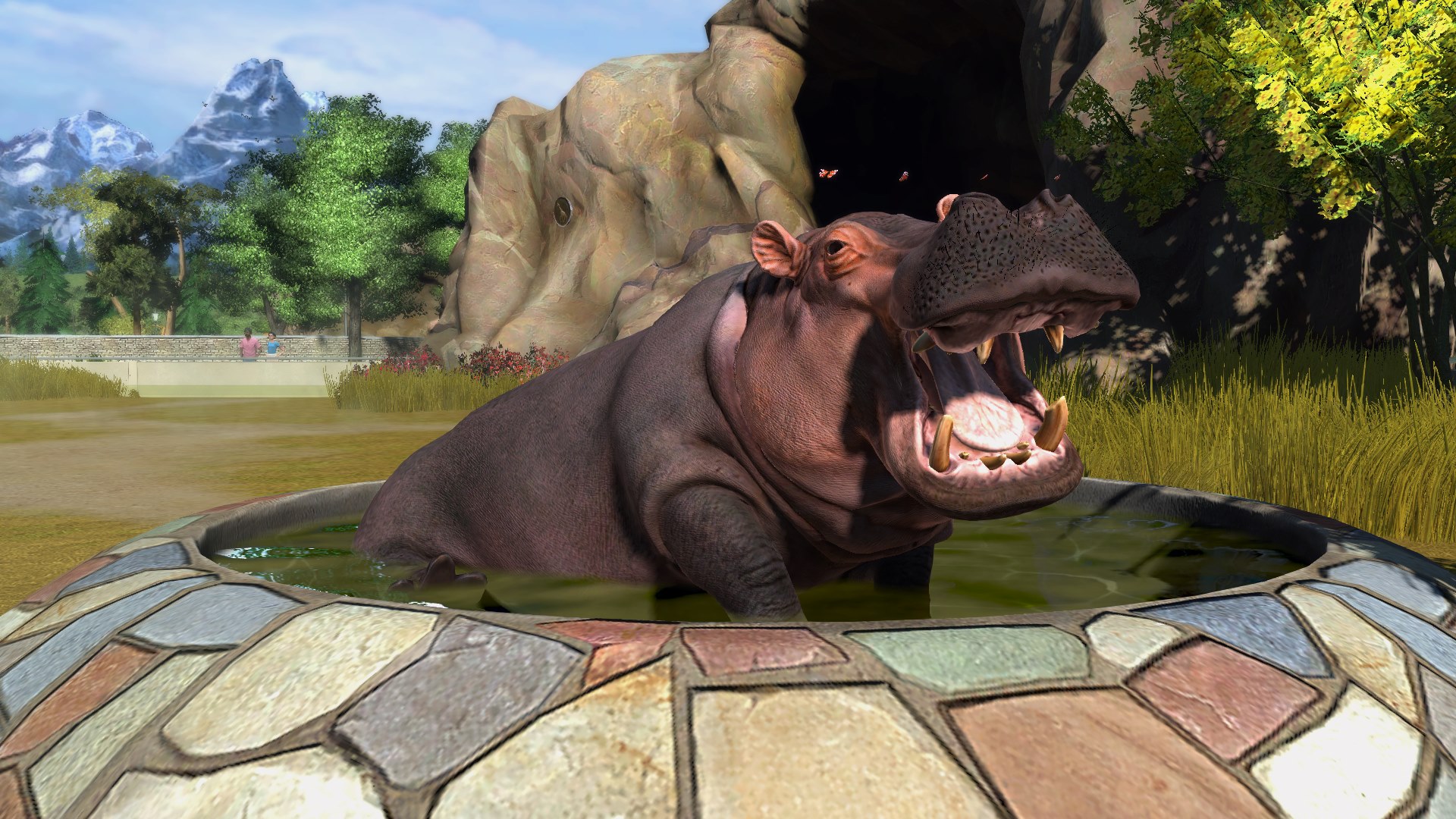 Zoo Tycoon Review Animal Collective Polygon