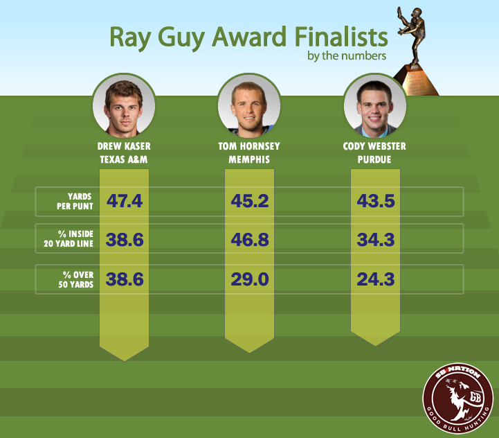 Ray-guy-infographic