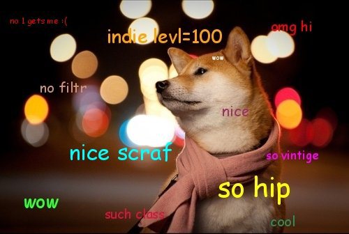 Wow This Is Doge The Verge