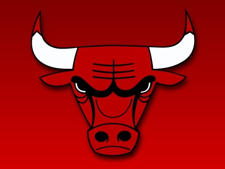 Bulls-logo-5_medium