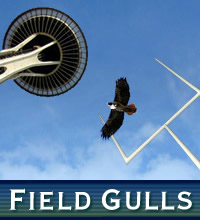 Field Gulls