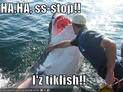 Funny-pictures-ticklish-shark_medium
