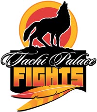 Tachi-Fights