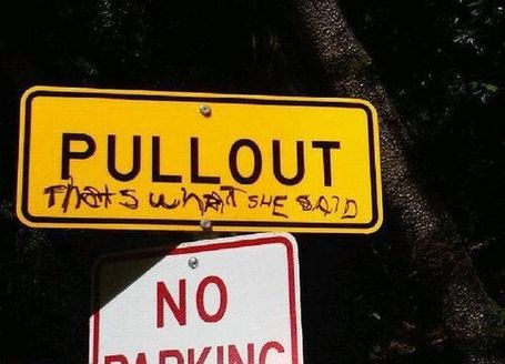 Pullout_medium