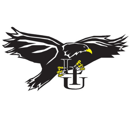Logo-long-island-blackbirds-2-575